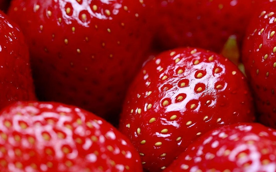 Una canasta de frutas frescas de estación recién entregada
